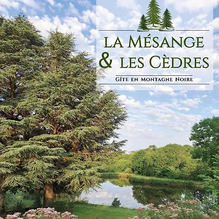 Maison Vue Sur En Moyenne Montagne Pradelles-Cabardes