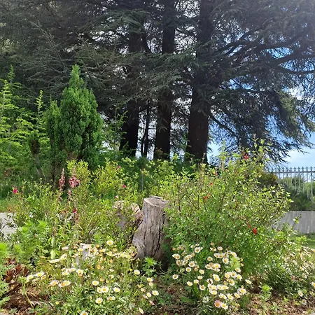 Feriehus Maison Vue Sur En Moyenne Montagne