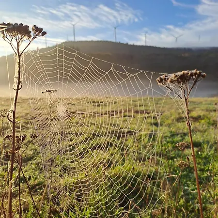 Maison Vue Sur En Moyenne Montagne Feriehus Pradelles-Cabardes